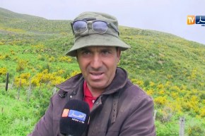 جيجل: الشريف.. ينتج 70 لترا من حليب الماعز يوميا ومشكل التسويق عائق