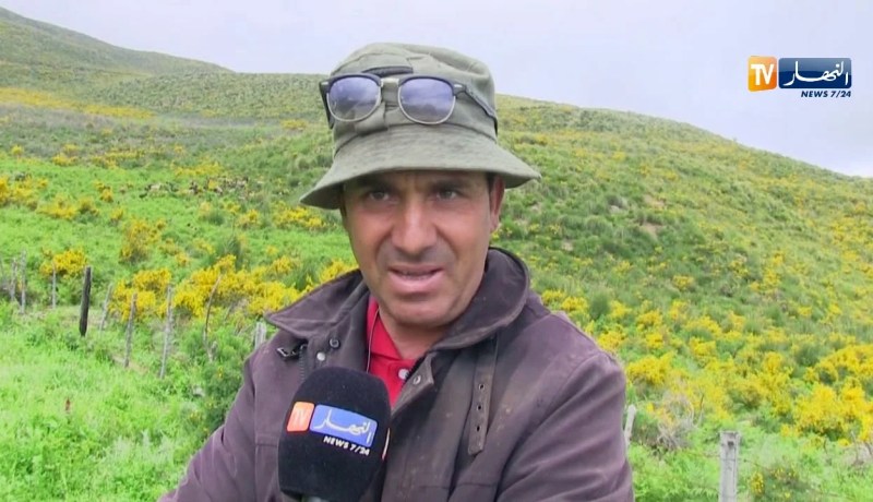 جيجل: الشريف.. ينتج 70 لترا من حليب الماعز يوميا ومشكل التسويق عائق