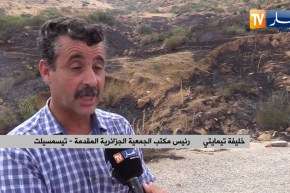 تيسمسيلت : موجة الحرائق تواصل الزحف على الغطاء النباتي