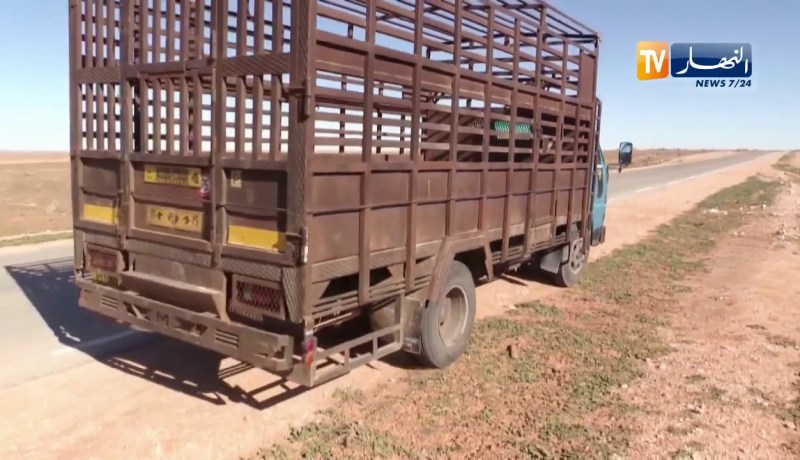 خضرة.. قصة كفاح ضد التسرب المدرسي بالبيض