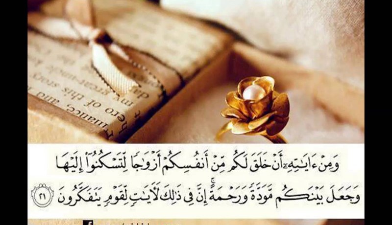 هل يريدني شريكة في الحلال أم هي مجرد أوهام؟