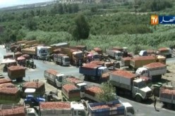 فلاحو شعبة الطماطم من 3 ولايات يحتجون للمطالبة بمستحقات تفوق 26 مليار سنتيم في الطارف