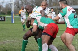 الجزائر تواجه زامبيا في نهائي كأس افريقيا “الفضية” للريغبي