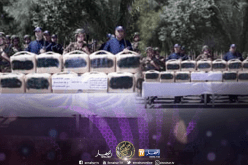 حجز أزيد من 5 قناطير من كيف معالج ببشار