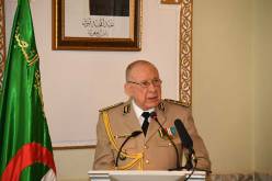 الفريق شنقريحة.. الاستفتاء مرحلة هامة سيواصل الشعب قطعها لتشييد الجزائر الجديدة