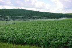 المجلس الشعبي لولاية الجزائر يصادق على ملف استرجاع الأراضي الفلاحية للولاية