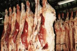 أسعار اللحوم الحمراء لن تنخفض ما لم تتدخل وزارة التجارة