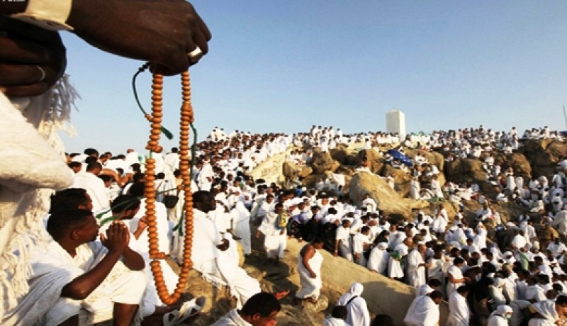 سرقة حقائب وأموال الحجاج الجزائريين وتسجيل ‮11 ‬وفاة