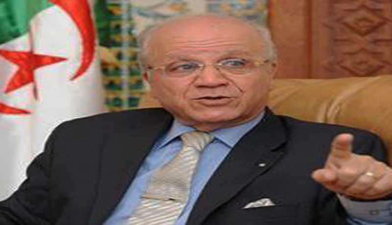 مدلسي يدين حرق العلم الجزائري في سوريا