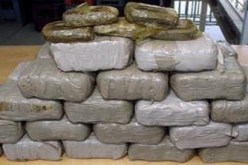 البحر يقذف 35 كغ كيف بشاطئ آقلة في تلمسان