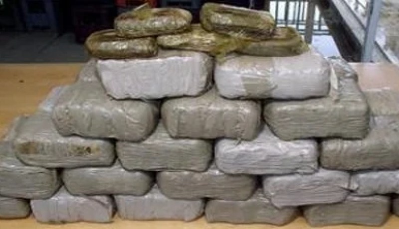 البحر يقذف 35 كغ كيف بشاطئ آقلة في تلمسان