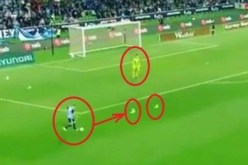 بالفيديو.. حارس يترك مرماه لإنقاذ طائر