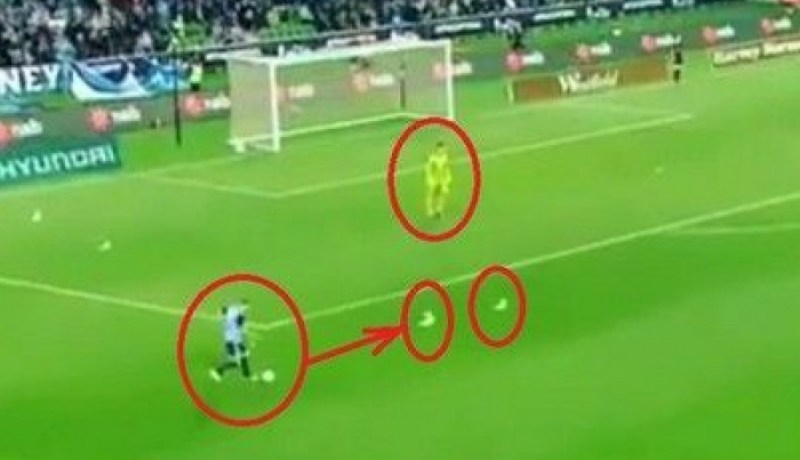 بالفيديو.. حارس يترك مرماه لإنقاذ طائر