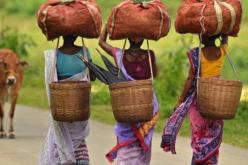 وزير هندي متهم بالقتل