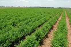 الأرض لمن يخدمها.. لضمان مستقبل أفضل