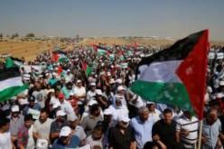 فلسطين تستعد لمليونية يوم الأرض