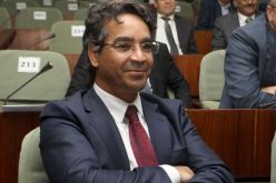 جميعي: أتألم عندما يهتف الشّعب بكلمة ” FLN dégage “