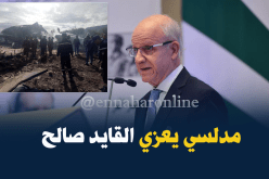 مدلسي يعزي قايد صالح في حادث تحطم الطائرة