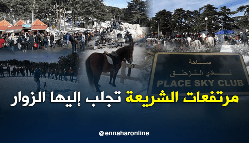 هكذا كانت الأجواء في مرتفعات الشريعة اليوم
