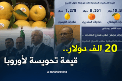 مداخيل تصدير الحمضيات.. عندما تفضح الأرقام لغة الكلام