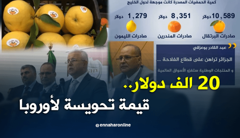 مداخيل تصدير الحمضيات.. عندما تفضح الأرقام لغة الكلام