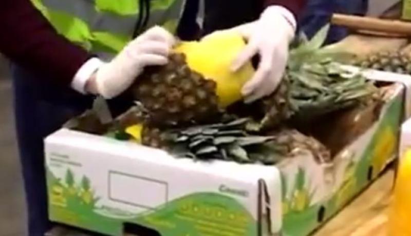 ضبط أكثر من 700 كيلوغرام من “الكوكايين” داخل الأناناس في إسبانيا