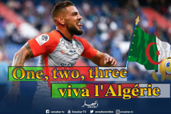 هكذا علق دولور على تواجد العلم الجزائري في نهائي “اليورو”