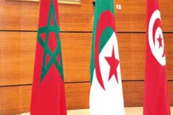 أمانة اتحاد المغرب العربي يعلن دعمه للحوار الليبي في الجزائر والمغرب