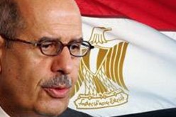 البرادعي يدعو إلى عقد قمة عربية في دمشق