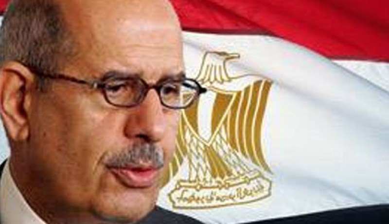 البرادعي يدعو إلى عقد قمة عربية في دمشق