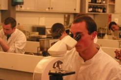 إشتراط 5 سنوات خبرة للإستفادة من الترقية وتصنيف جديد للرتب