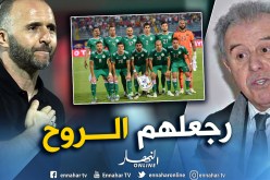 فرقاني: “بلماضي في الطريق الصحيح”