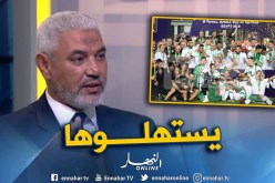 جمال عبد الحميد: “تتويج الجزائر مستحق وهو نجاح لكل العرب”