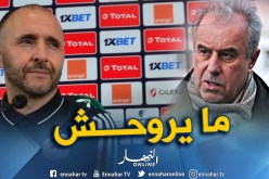 فرقاني: “بلماضي يسعى لبلوغ هذه المنافسة التي تهمه كثيرا”