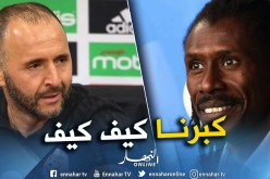 أليو سيسي: “أعرف جيدا بلماضي والخضر في تحسن معه”