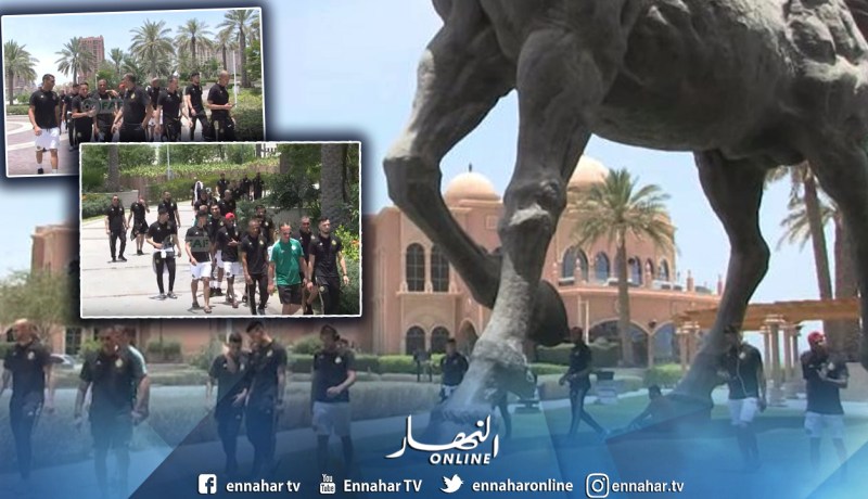 بالفيديو.. الخضر في جولة ترفيهية قبل مواجهة مالي الودية