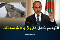 ميهوبي.. تمثال عين الفوار سيبقى في مكانه