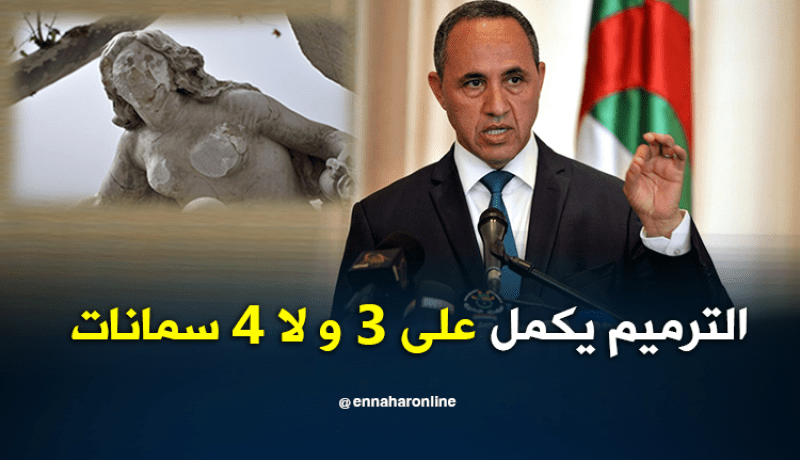 ميهوبي.. تمثال عين الفوار سيبقى في مكانه