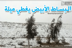 بالفيديو.. الثلوج تغطي ولاية ميلة