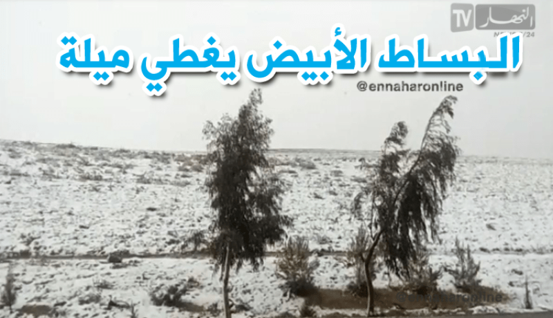 بالفيديو.. الثلوج تغطي ولاية ميلة