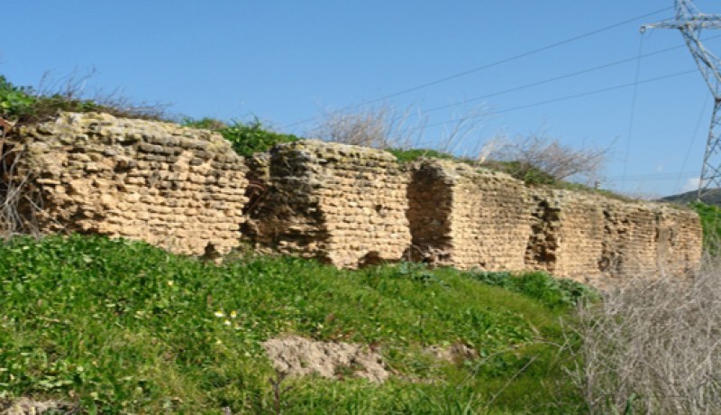 مشروع مخطط لحفظ و إعادة  تثمين موقع البعالة الأثري بميلة