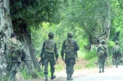 تمت محاصرتهم في كازمة بجليدة بضواحي عين الدفلى ورفضوا تسليم أنفسهم…القوات المشركة تقضي على 11 إرهابيا وتسترجع عتادا حربيا مهما وقاذفا للصواريخ