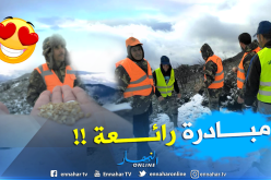 بالصور.. هكذا يتم إطعام الطيور وسط الثلوج على سفوح الجبال بميلة