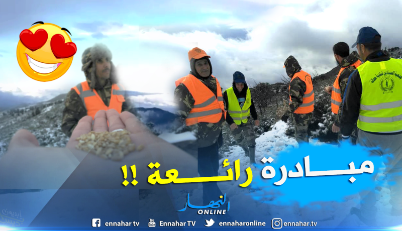 بالصور.. هكذا يتم إطعام الطيور وسط الثلوج على سفوح الجبال بميلة