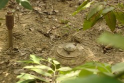 اكتشاف حقل ألغام على طول 5 كيلومترات ببشار