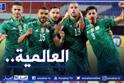 بالفيديو.. هدف الخضر العالمي يصنع الحدث