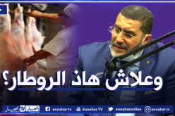 باهبو.. لم نتلق الضوء الأخضر لاستيراد اللحوم الحمراء