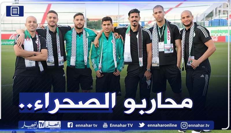 فيغولي يريد عودة أنصار الخضر للمدرجات