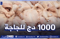 حملة لمقاطعة اللحوم البيضاء وزبدي يحمّل السلطات المعنية مسؤولية ارتفاع الأسعار
