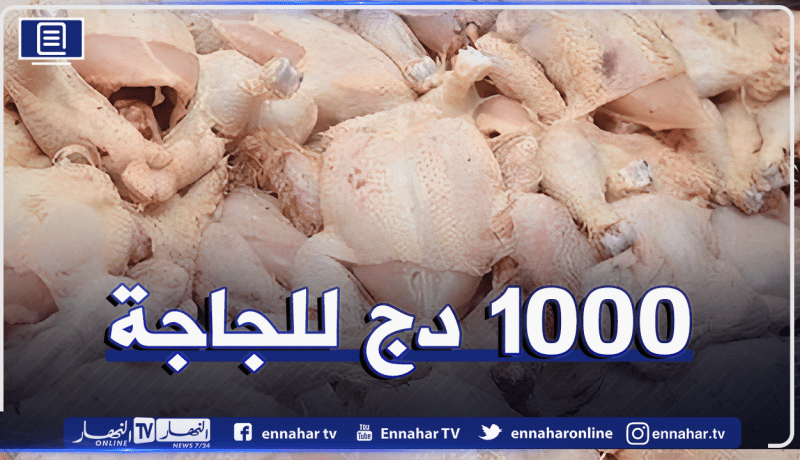 حملة لمقاطعة اللحوم البيضاء وزبدي يحمّل السلطات المعنية مسؤولية ارتفاع الأسعار